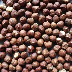 Hazel Nut